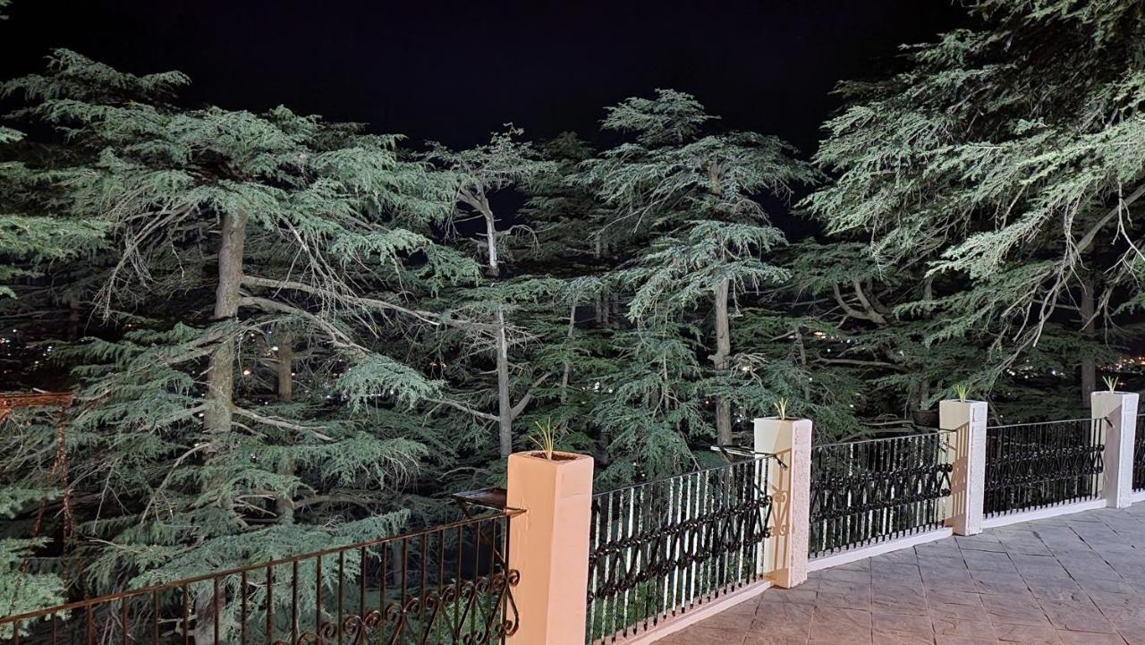 Glen View Heritage Homestay Shimla Dış mekan fotoğraf