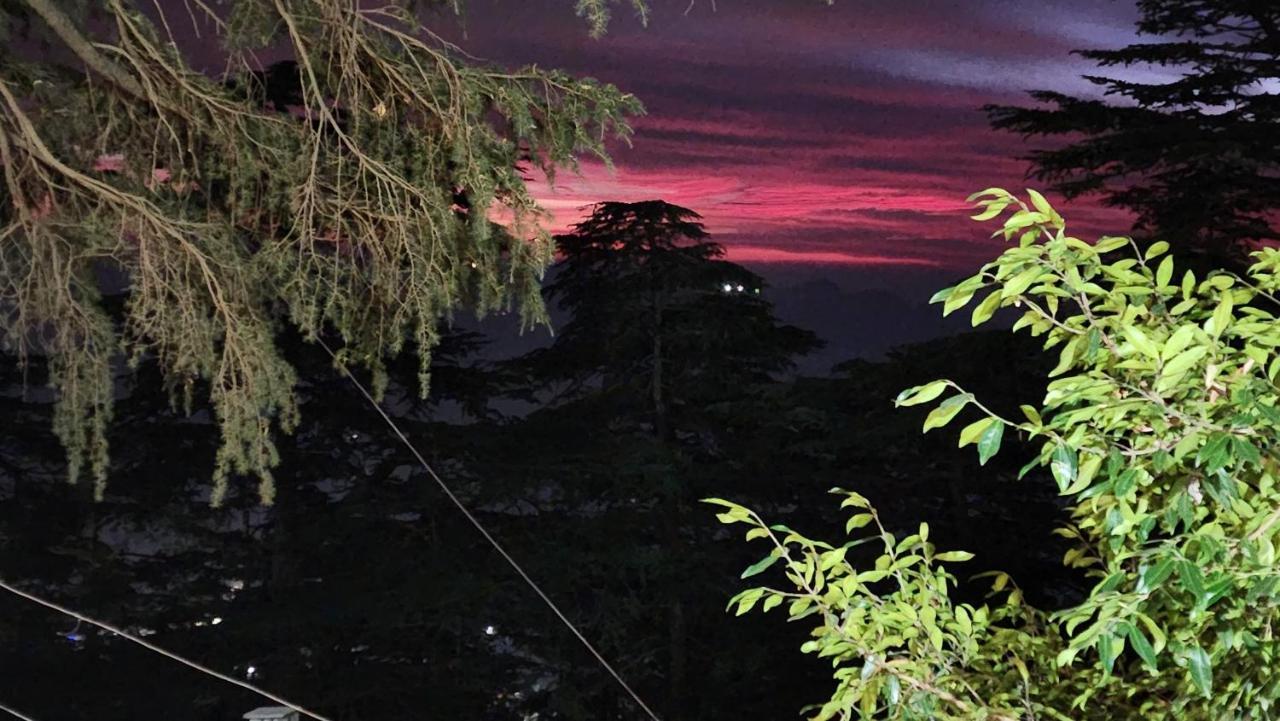 Glen View Heritage Homestay Shimla Dış mekan fotoğraf