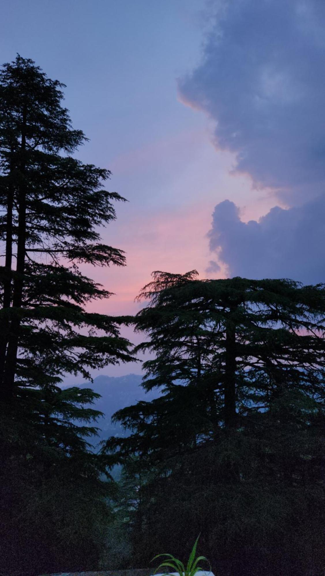 Glen View Heritage Homestay Shimla Dış mekan fotoğraf