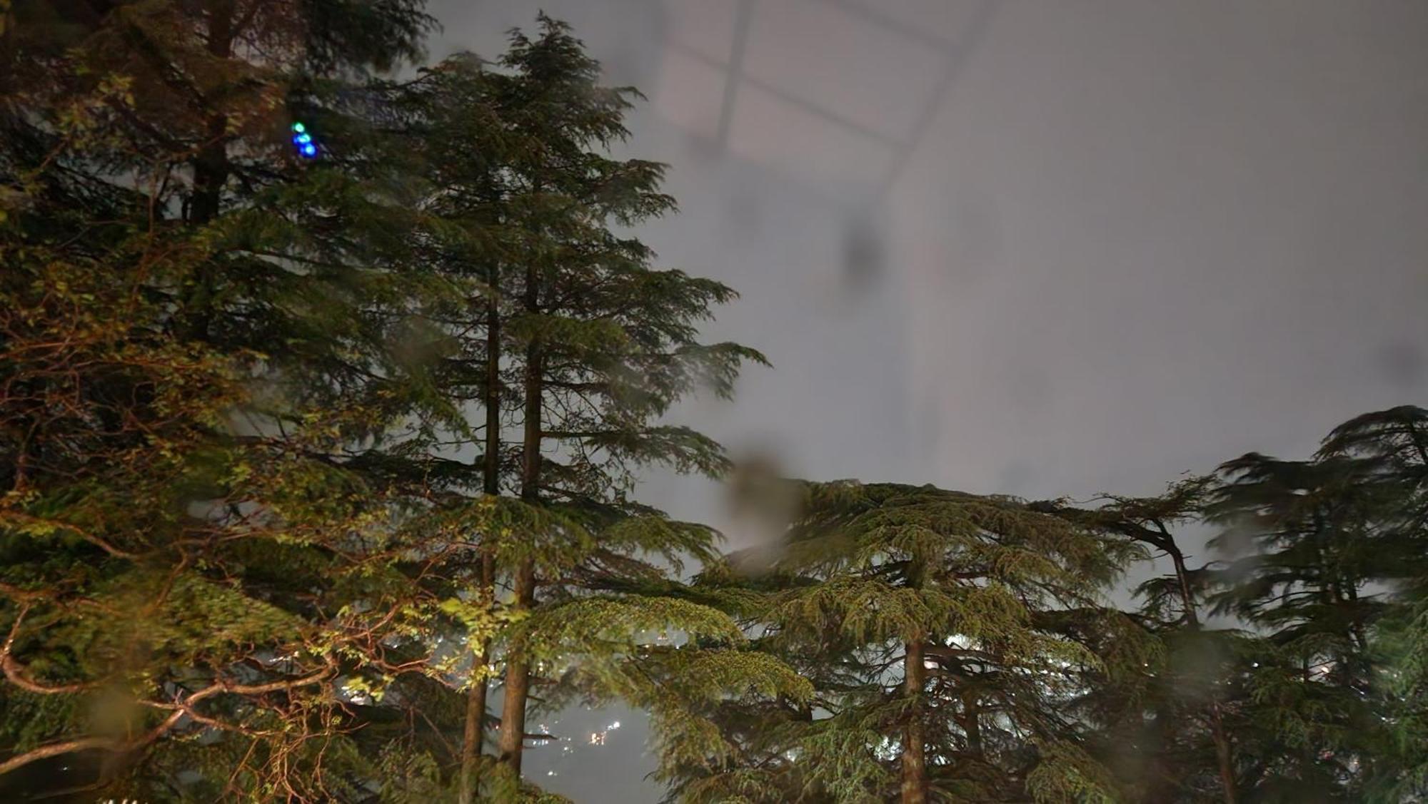 Glen View Heritage Homestay Shimla Dış mekan fotoğraf