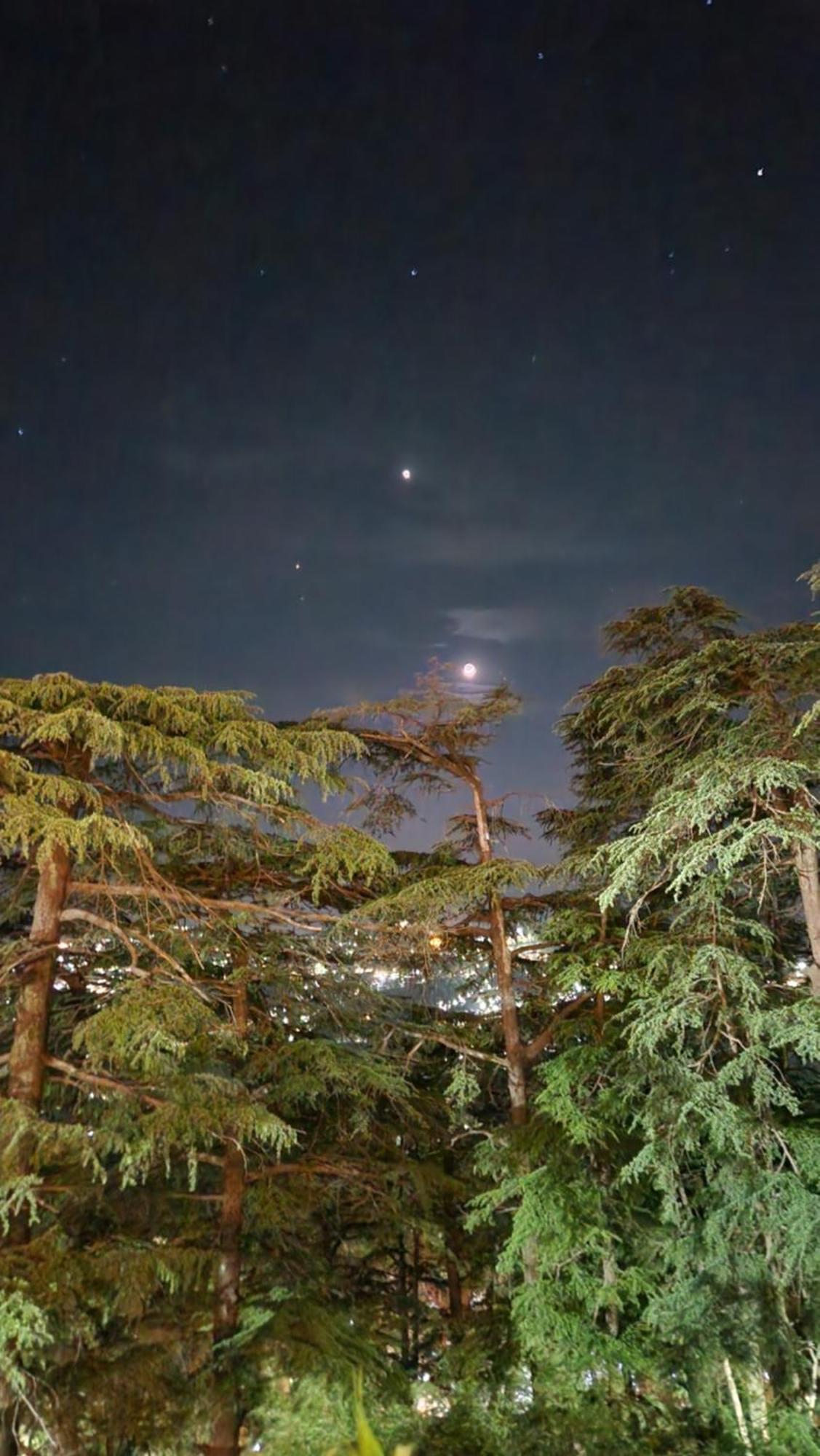 Glen View Heritage Homestay Shimla Dış mekan fotoğraf