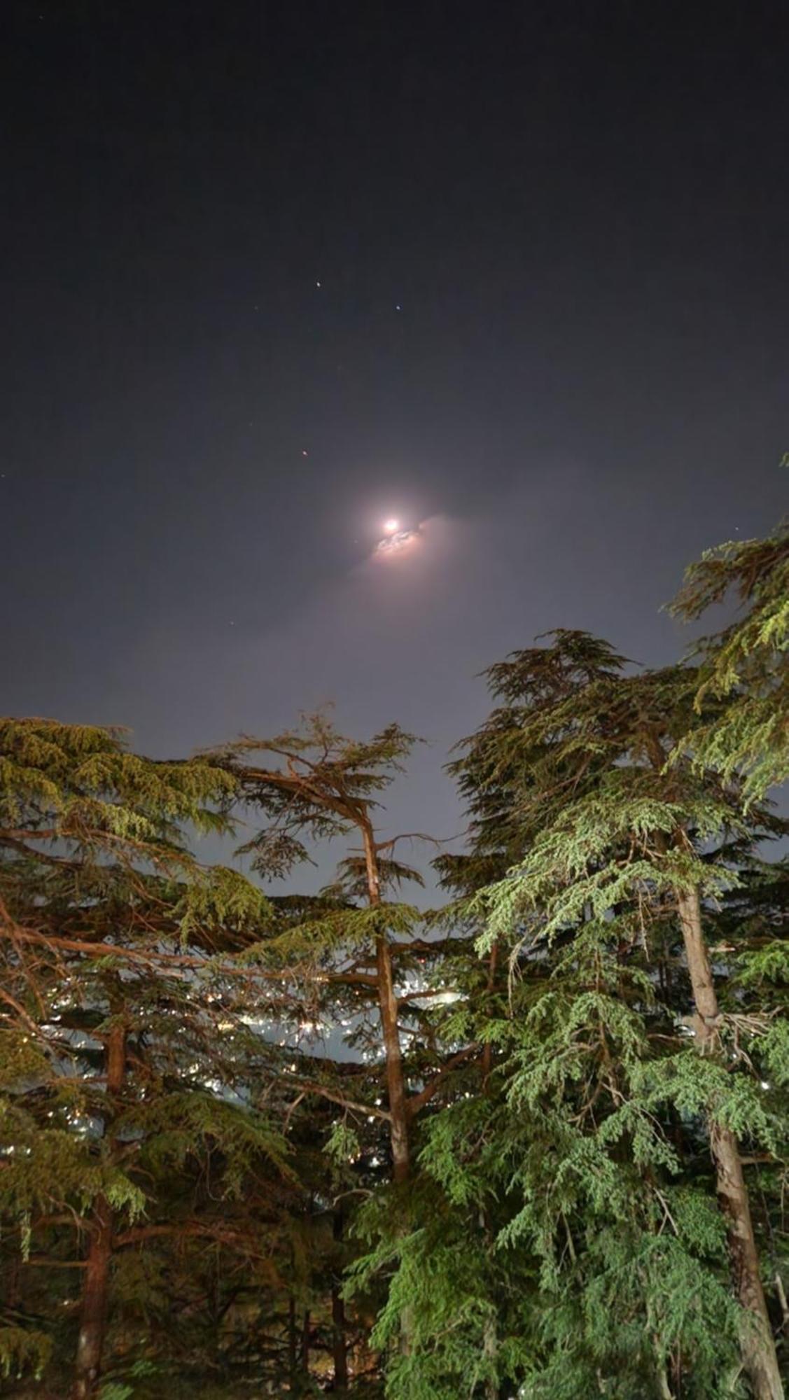 Glen View Heritage Homestay Shimla Dış mekan fotoğraf